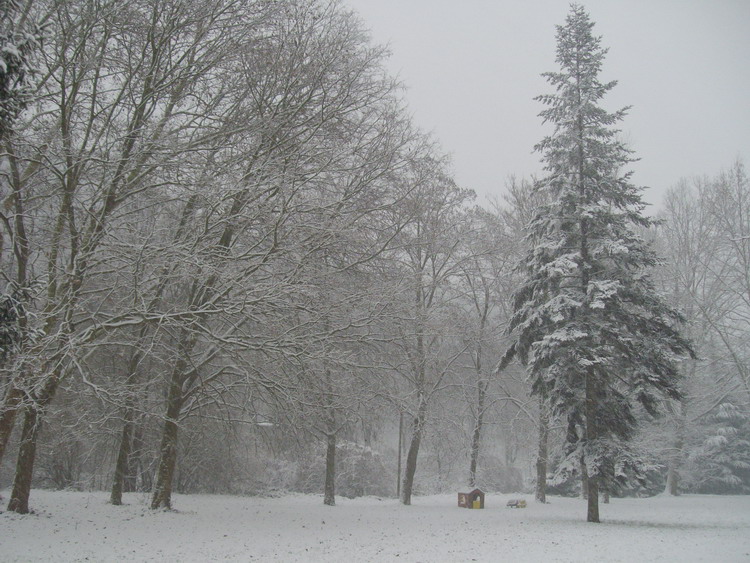 Prima Neve (28-11-2010), 1.jpg