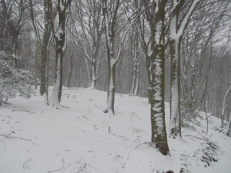 Prima Neve (28-11-2010), 8.jpg