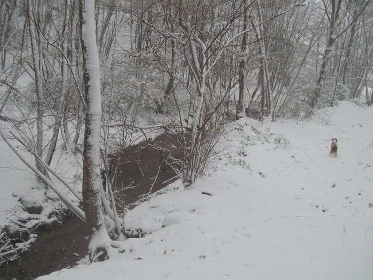 Prima Neve (28-11-2010), 10.jpg