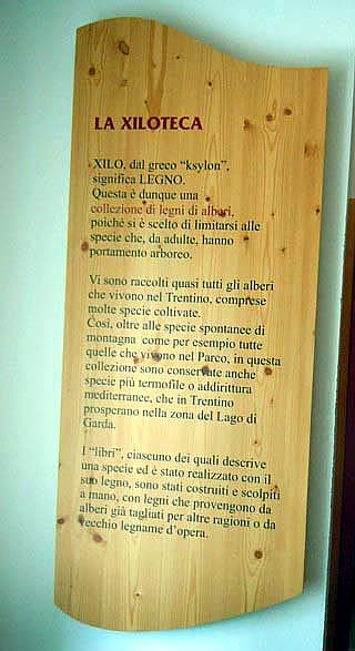 La_storia_della_Biblioteca.jpg