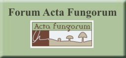 Forum Actafungorum