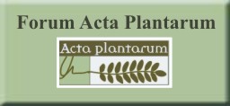 Forum Actaplantarum